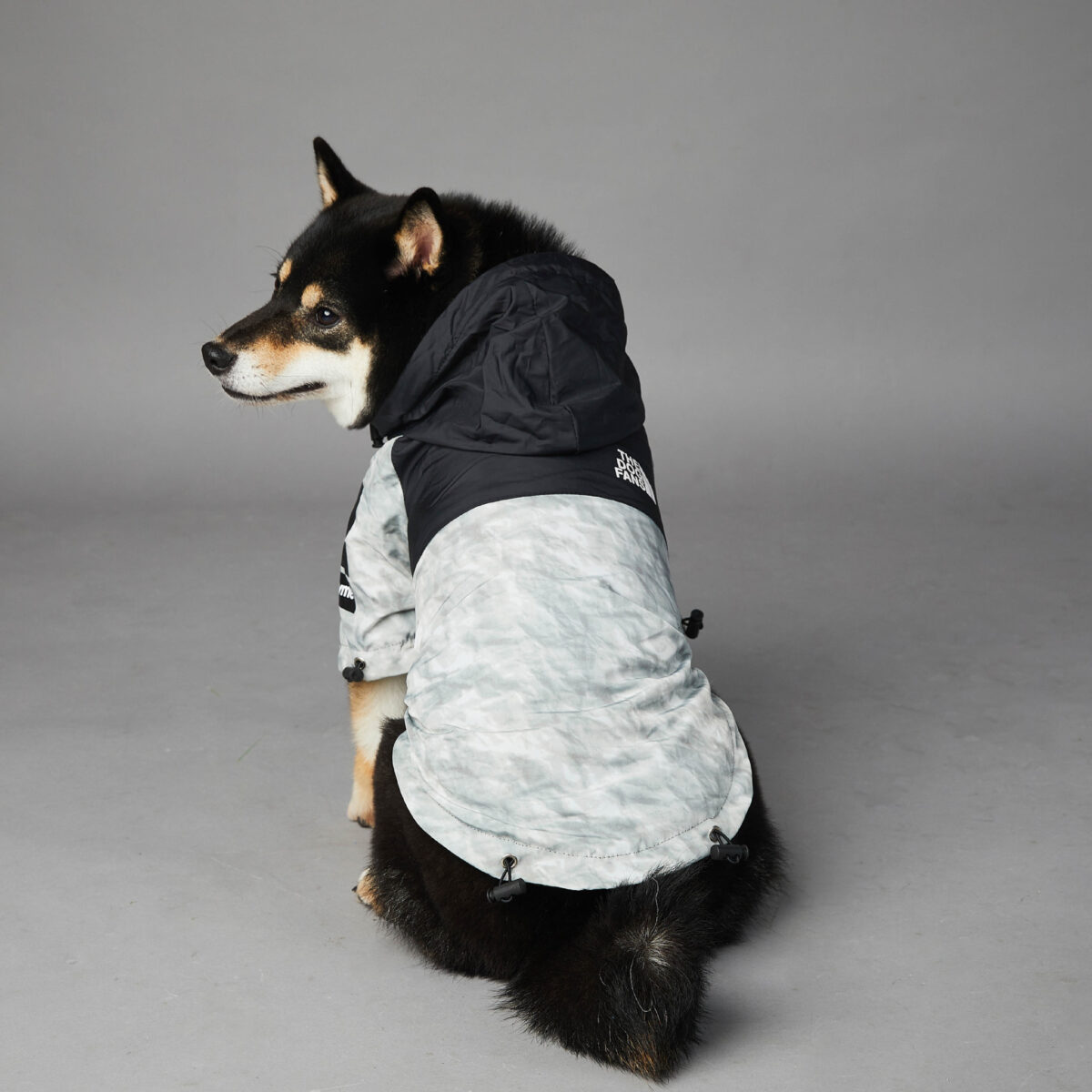 Dog Noodles New Dog Large Dog Dog Pet Shell Jacket - Image 7