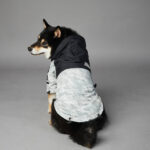 Dog Noodles New Dog Large Dog Dog Pet Shell Jacket - Image 7