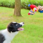Dog Sound Plush Toy Cartoon Circus Series Molar Long Lasting - Image 3