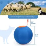 Funny Shiba Inu Corgi Self-Hi Pet Training Ball - Image 3