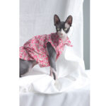 Cat Clothes Summer Thin Floral Dress Sphinx Hairless - Image 8