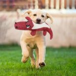 Plush Pet Toy Bite Resistant Simulation Squeaky Dog Toys For Small Medium Large Dogs Puppy Molar Biting Chew Toy - Image 5