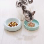 Ceramic cat food bowl - Image 3