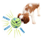 Dog molar toy - Image 2