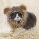 Lion headgear cat hat cute transformation decoration - Image 2