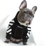 Corgi Schnauzer pet fashion brand three-stripe dog sweater spoof autumn and winter sports dog clothes - Image 5