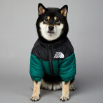 Windproof And Rainproof Dog Winter Warm Pet Cotton-padded Clothes - Image 2
