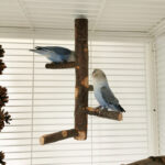 Parrot Bird Wood Stand Pole Toy - Image 7