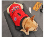 Small Pet Puppies Casual Winter Dog Padded Coat - Image 3