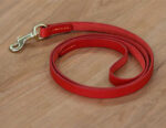 Leather Red Blue Green Pet Traction Strap - Image 4