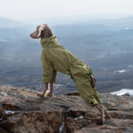 Large Dog Four-leg Shell Jacket Windproof Turtleneck Outdoor Keep Warm - Image 3