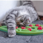 The Cat Grasps The Board And Misses Food - Image 3