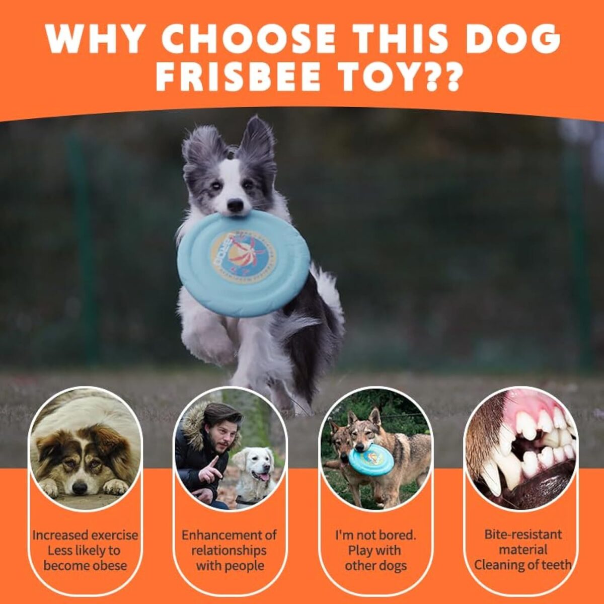 Dog Flying Disc Dog Flying Disc Durable And Interactive Flying Disc For Medium And Large Dogs  Perfect For Summer Parties And Outdoor Playtime - Image 7