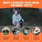 Dog Flying Disc Dog Flying Disc Durable And Interactive Flying Disc For Medium And Large Dogs  Perfect For Summer Parties And Outdoor Playtime - Image 7