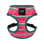 Dog Belt Outing Vest-style Harness - Image 8