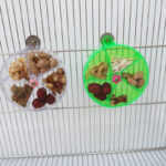 Parrot Supplies Toy Bird Acrylic Foraging Wind Wheel - Image 5