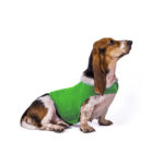 Anxiety Jacket Vest Summer Medical Treatment To Calm Down Cat Clothes Dog Comfort Clothes - Image 5