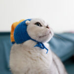 The Girl With Pearls Purely Handmade Original Pet Costume Cat Hat - Image 5