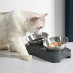 Easy To Clean Stainless Steel Cat Bowl Dog Food And Water Bowls With Stand Metal Cats Dogs Double Single Pet Feeding Feeder Bowl - Image 9