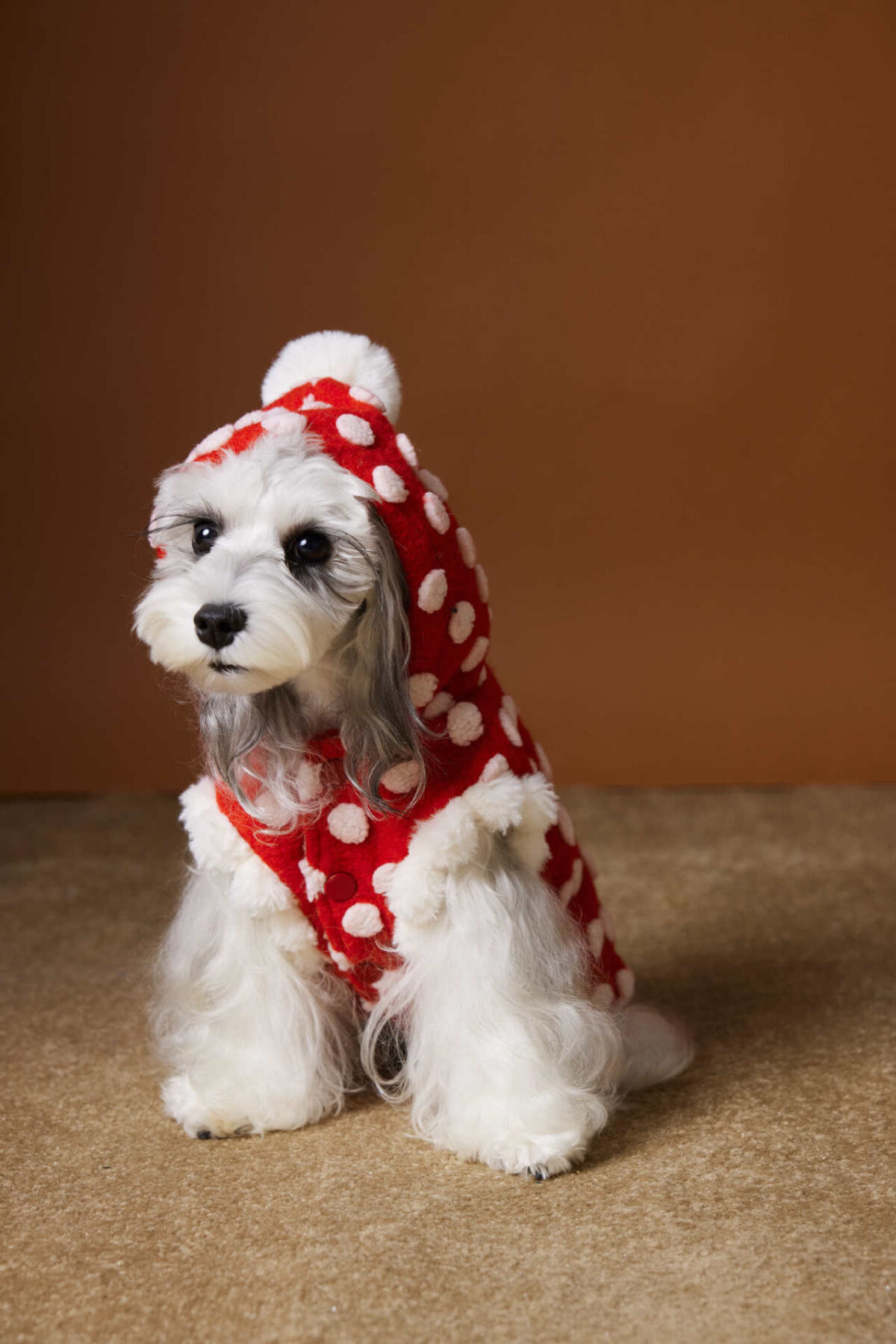 Red New Year Dress Polka Dot Sleeveless Hooded Vest Coat - Image 2