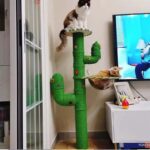 Cactus Cat Climbing Frame Self-made Diy Complete Material Package - Image 2