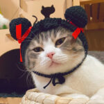 Pig Bajie Cat Head Cover Cute - Image 3