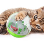 Pet Supplies Cat Toys Mimi Self-Hi Electric Fish Tumbler Funny Cat Ball - Image 2