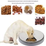 Pets Feeder Automatically Assign Intelligent Timing - Image 2