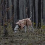 Outdoor Soft Shell Waterproof Windproof Warm Dog Soft Shell Jacket - Image 2