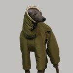 Winter Super Thick Four Leg Cotton Padded Clothes - Image 4