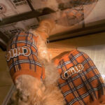 Vintage Plaid Pet Sweater Cat Clothes - Image 2