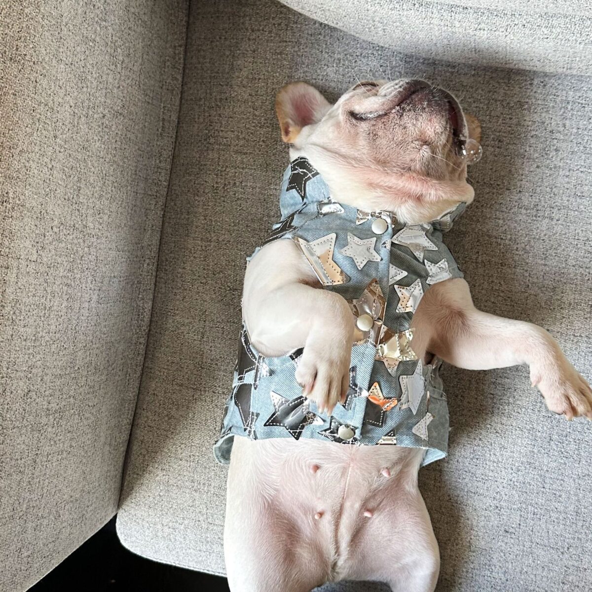 Pet Cat And Dog Summer Thin Denim Vest Jacket - Image 9