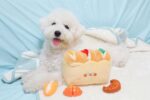 Bread Toast Sniffing Tibetan Food Toys - Image 4