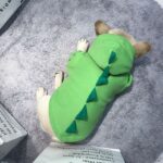 Clothes Corgi Winter Special Bitch Supplies - Image 6