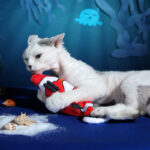 Plush Shark Simulation Fish Appearance, Vibration And Touch - Image 4
