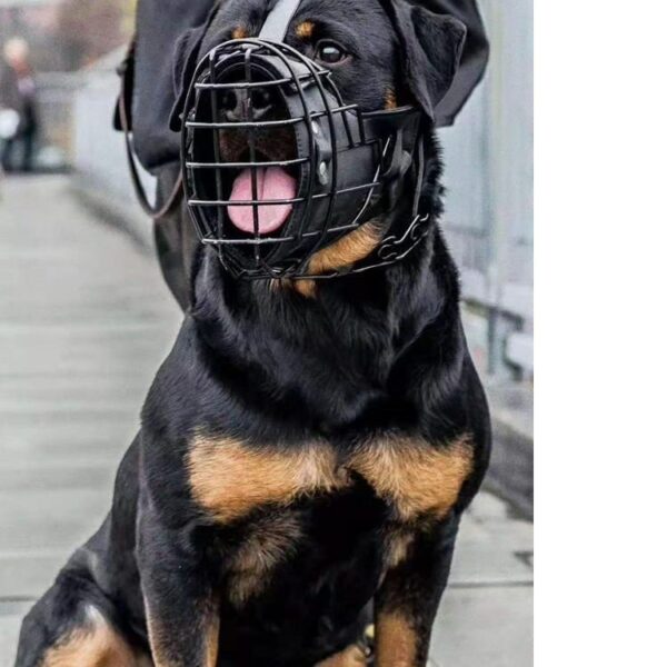 Tactical Mouth Cage Horse Dog Golden Retriever Demu Impact Muzzle
