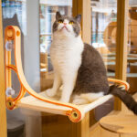 Cat Hammock Sunbathing Glass Strong Suction Cup Window Hanging Nest Window Sill Swing Pet Supplies - Image 3