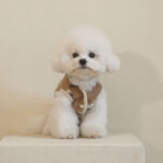 New Warm Lamb Wool Flower Dog Sweater - Image 3