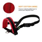 Dog Mouth Muzzle Anti Bark Dog Collar Breathable Dog Training Tool Nylon Muzzle Set With Stripes Summer Pet Leashes - Image 5