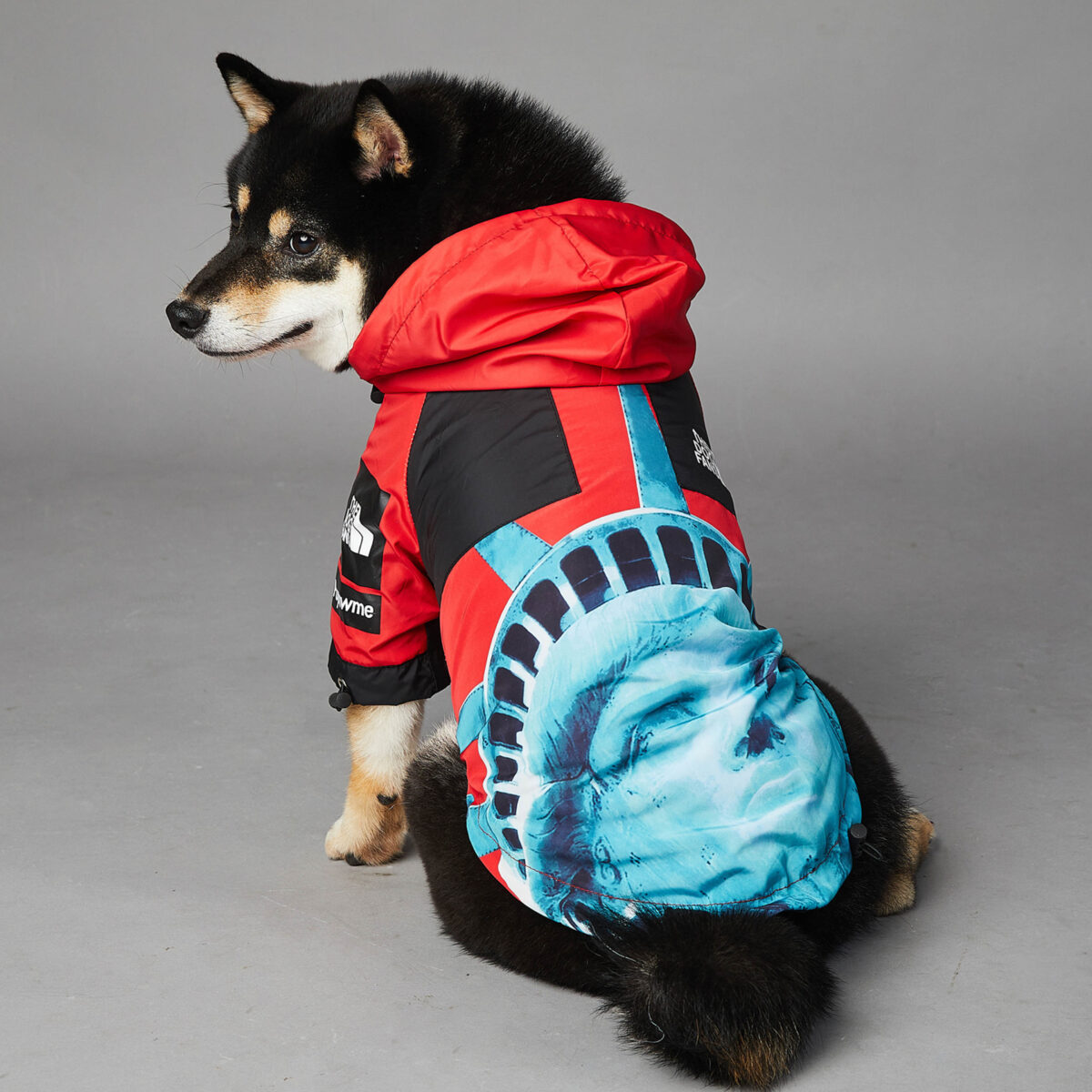 Windproof And Rainproof Dog Pet Shell Jacket - Image 1