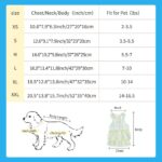 Girl Dog Dresses Pet Princess Dress Puppy Clothes For Small Medium Large Dogs Outdoor Skirt For Puppy Cute Pet Outfit Apparel - Image 2