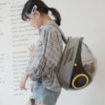 Breathable Egg Shell Cat Nest Pet Transparent Space Capsule Out Portable Backpack - Image 4