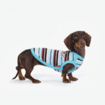 Dog Clothes Cool Clothes Small And Medium Size - Image 3