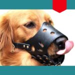 Small Dog Large Muzzle Adjustable Bite Proof - Image 2