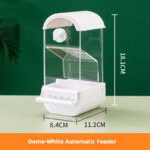 Parrot Automatic Pet Feeder Food Container - Image 5