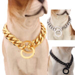 Stainless Steel Pet Casting Coarse Traction Chain - Image 2