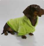Halloween Crossdressing Little Dinosaur Double-sided With Velvet Thermal Hooded Sweatshirt - Image 5