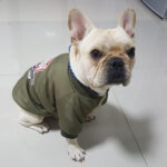 Dog Winter Clothes Padded Warm Jacket Plus Velvet - Image 3