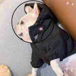 Autumn And Winter Thickened Cotton Clothes - Image 4