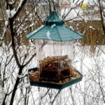 Outdoor Balcony Waterproof Hanging Bird Feeder - Image 8